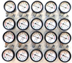 All American Sterilizer 72S Geared Steam Gauge Case Pack of 20