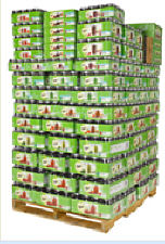 Ball Assorted Full Pallet Canning Jars