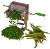 Pea Sheller 